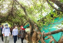 Kunjungan Wisman di Jatim Meningkat, Gubernur Khofifah Minta Bupati/Wali Kota Maksimalkan Infrastruktur Penunjang Pariwisata