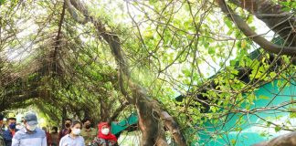 Kunjungan Wisman di Jatim Meningkat, Gubernur Khofifah Minta Bupati/Wali Kota Maksimalkan Infrastruktur Penunjang Pariwisata