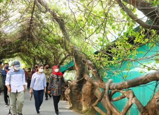 Kunjungan Wisman di Jatim Meningkat, Gubernur Khofifah Minta Bupati/Wali Kota Maksimalkan Infrastruktur Penunjang Pariwisata