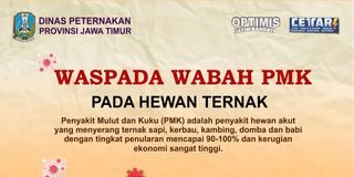 Jatim Berstatus Tanggap Darurat, Begini Cara Mencegah Penyakit Kuku dan Mulut pada Hewan