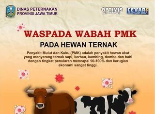 Jatim Berstatus Tanggap Darurat, Begini Cara Mencegah Penyakit Kuku dan Mulut pada Hewan