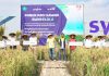 Syngenta dan Wilmar Berkomitmen Tingkatkan Produktifitas Pertanian Padi Syngenta dan Wilmar Berkomitmen Tingkatkan Produktifitas Pertanian Padi