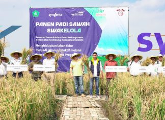 Syngenta dan Wilmar Berkomitmen Tingkatkan Produktifitas Pertanian Padi Syngenta dan Wilmar Berkomitmen Tingkatkan Produktifitas Pertanian Padi