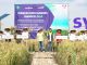 Syngenta dan Wilmar Berkomitmen Tingkatkan Produktifitas Pertanian Padi Syngenta dan Wilmar Berkomitmen Tingkatkan Produktifitas Pertanian Padi
