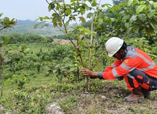Solusi Bangun Indonesia Dorong Pemulihan Sumber Daya Alam Untuk Masa Depan Solusi Bangun Indonesia Dorong Pemulihan Sumber Daya Alam Untuk Masa Depan (foto : ist)