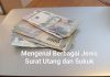 Mengenal Berbagai Jenis Surat Utang dan Sukuk Mengenal Berbagai Jenis Surat Utang dan Sukuk (foto : ist)