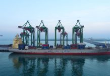 Torehan Awal Tahun 2026, Arus Petikemas PT Terminal Teluk Lamong Tumbuh 9%