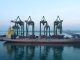 Torehan Awal Tahun 2026, Arus Petikemas PT Terminal Teluk Lamong Tumbuh 9%