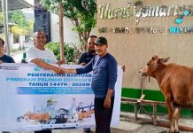 PT Terminal Teluk Lamong Laksanakan Program Pelindo Berbagi Hewan Kurban, 12 Sapi dan 21 Kambing Buat Masyarakat Sekitarnya