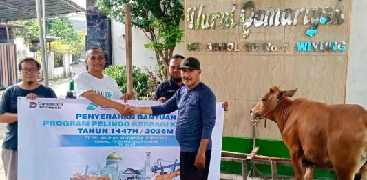 PT Terminal Teluk Lamong Laksanakan Program Pelindo Berbagi Hewan Kurban, 12 Sapi dan 21 Kambing Buat Masyarakat Sekitarnya