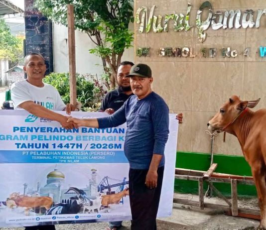 PT Terminal Teluk Lamong Laksanakan Program Pelindo Berbagi Hewan Kurban, 12 Sapi dan 21 Kambing Buat Masyarakat Sekitarnya