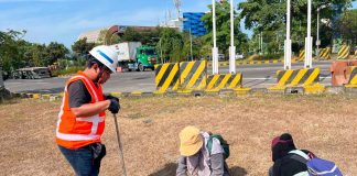 Komitmen Hijau Terminal Teluk Lamong, Kolaborasi Riset Ekologis Dengan BRIN Untuk Pengayaan Keanekaragaman Hayati