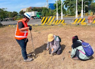 Komitmen Hijau Terminal Teluk Lamong, Kolaborasi Riset Ekologis Dengan BRIN Untuk Pengayaan Keanekaragaman Hayati