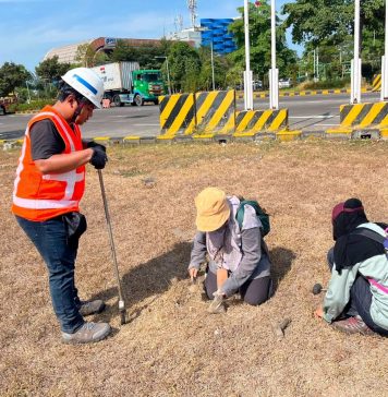 Komitmen Hijau Terminal Teluk Lamong, Kolaborasi Riset Ekologis Dengan BRIN Untuk Pengayaan Keanekaragaman Hayati