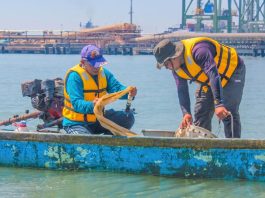 TTL Gandeng BRIN Petakan Biota Laut Sebagai Implementasi ESG dan Komitmen Pelestarian Ekosistem Pesisir