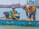 TTL Gandeng BRIN Petakan Biota Laut Sebagai Implementasi ESG dan Komitmen Pelestarian Ekosistem Pesisir