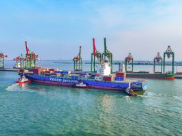 Lima Tahun Bersatu, Terminal Teluk Lamong Terus Tumbuh dan Bertransformasi Bersama Pelindo
