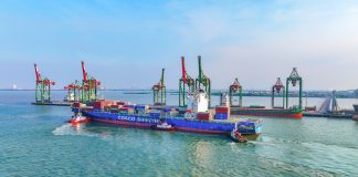 Lima Tahun Bersatu, Terminal Teluk Lamong Terus Tumbuh dan Bertransformasi Bersama Pelindo