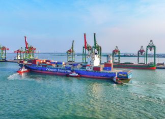 Lima Tahun Bersatu, Terminal Teluk Lamong Terus Tumbuh dan Bertransformasi Bersama Pelindo