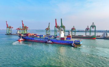 Lima Tahun Bersatu, Terminal Teluk Lamong Terus Tumbuh dan Bertransformasi Bersama Pelindo