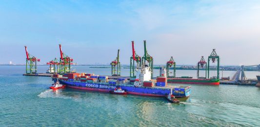 Lima Tahun Bersatu, Terminal Teluk Lamong Terus Tumbuh dan Bertransformasi Bersama Pelindo