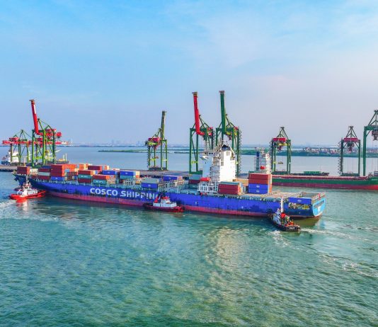 Lima Tahun Bersatu, Terminal Teluk Lamong Terus Tumbuh dan Bertransformasi Bersama Pelindo