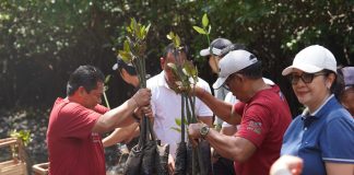 PLN UIT JBM Tanam 16.500 Bibit Mangrove di Bali, Perkuat Komitmen Pelestarian Ekosistem Pesisir