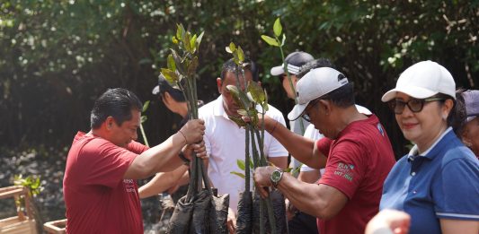 PLN UIT JBM Tanam 16.500 Bibit Mangrove di Bali, Perkuat Komitmen Pelestarian Ekosistem Pesisir