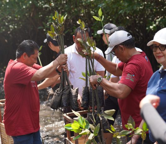 PLN UIT JBM Tanam 16.500 Bibit Mangrove di Bali, Perkuat Komitmen Pelestarian Ekosistem Pesisir