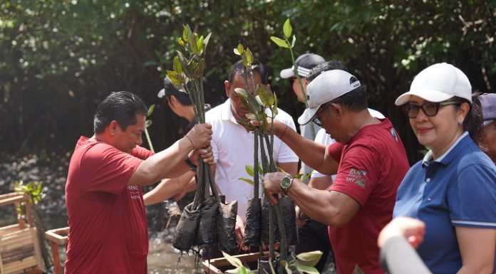 PLN UIT JBM Tanam 16.500 Bibit Mangrove di Bali, Perkuat Komitmen Pelestarian Ekosistem Pesisir